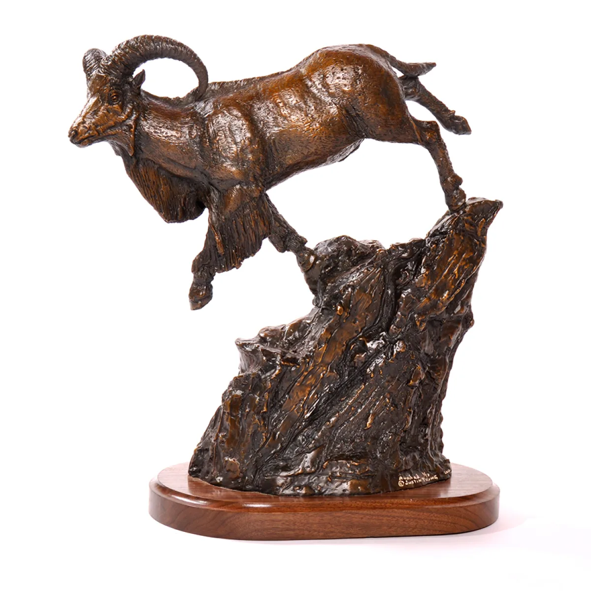 Aoudad by Justin I. Young