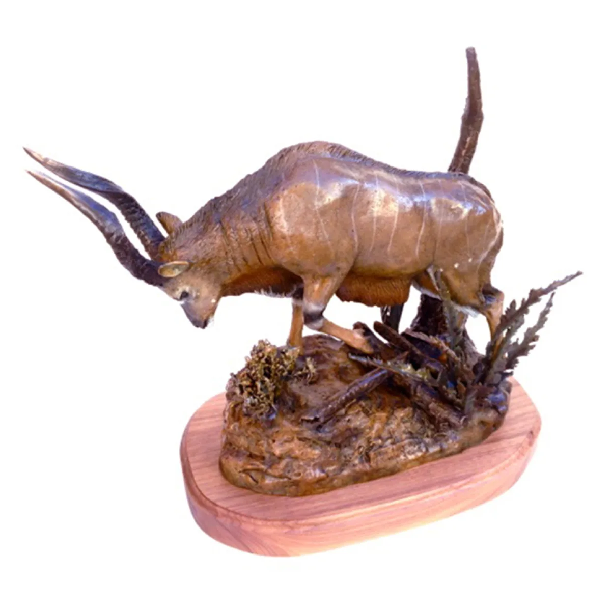 Bongo by Justin I. Young