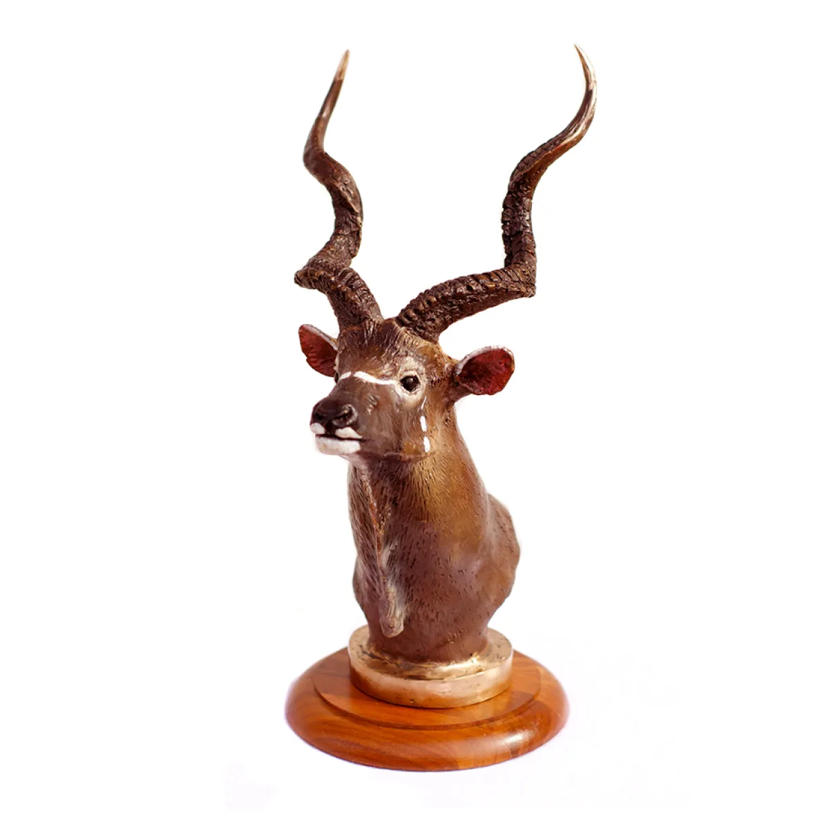 Kudu by Justin I. Young