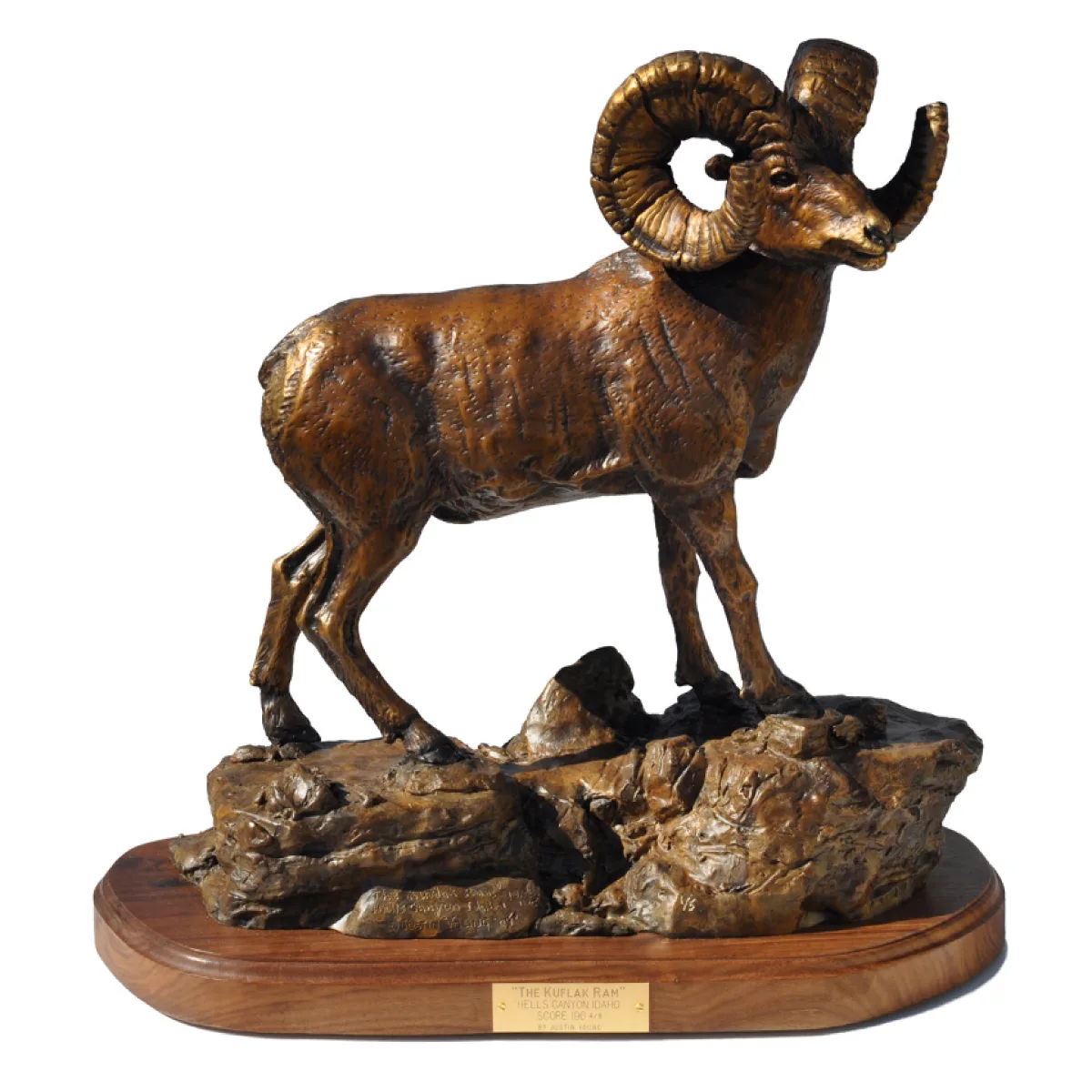 Kuflack Ram by Justin I. Young
