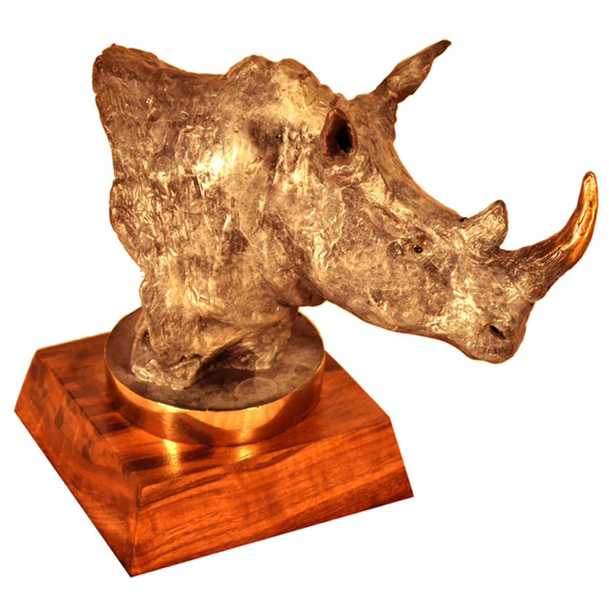 Rhino Bust by Justin I. Young