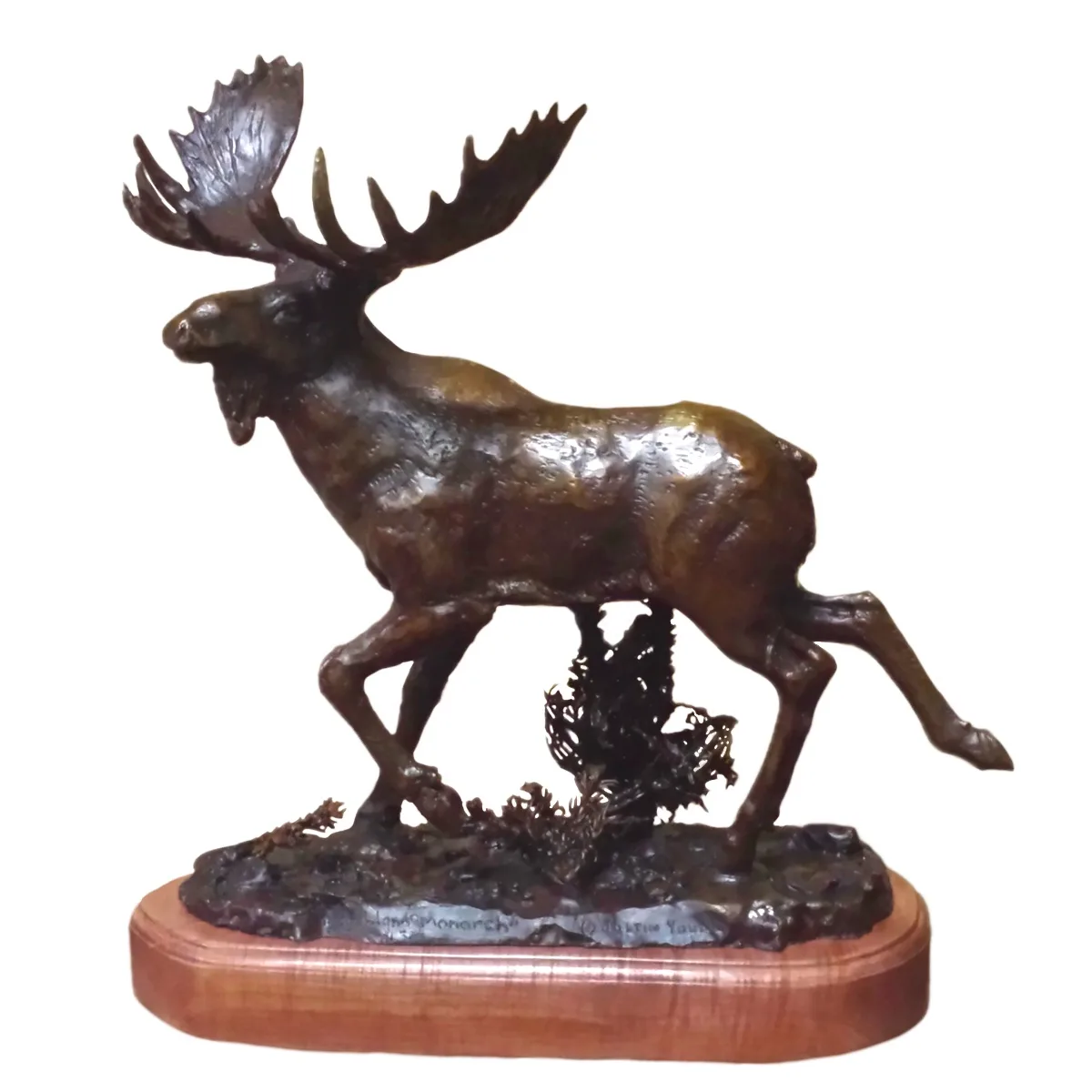 Shiras Moose by Justin I. Young