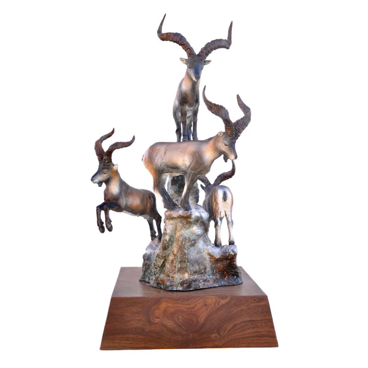 Spanish Ibex by Justin I. Young