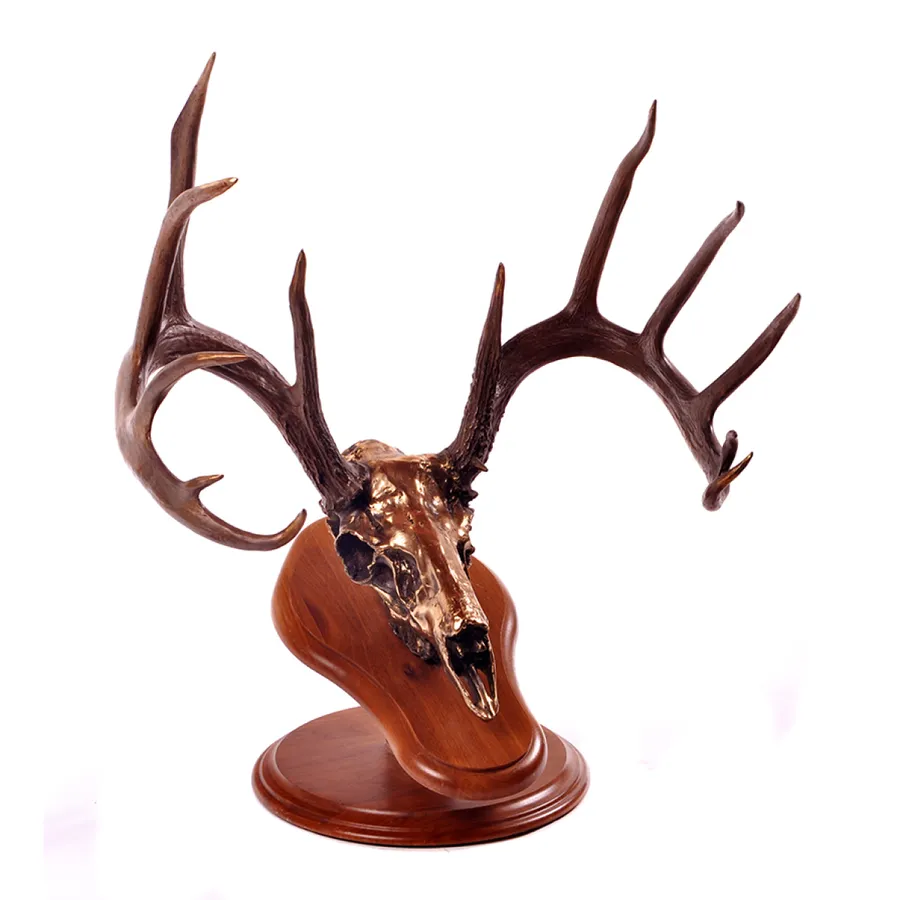 B&C Record Book Whitetale — Bronze by Justin I. Young