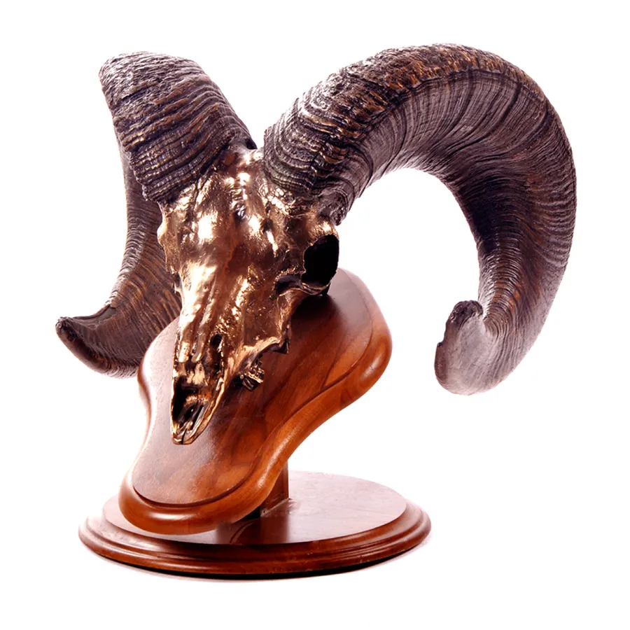 Cave Ram — Bronze by Justin I. Young