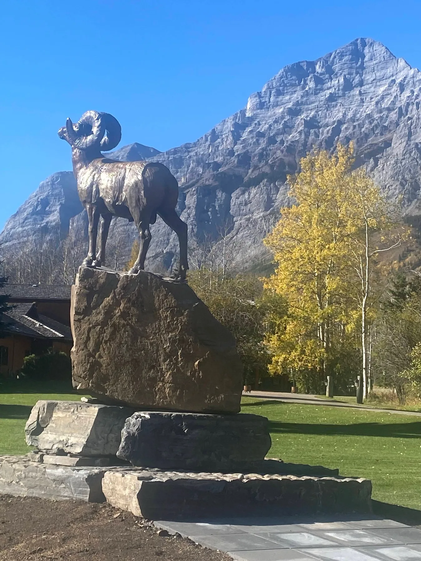 Kananaskis Ram by Justin I. Young