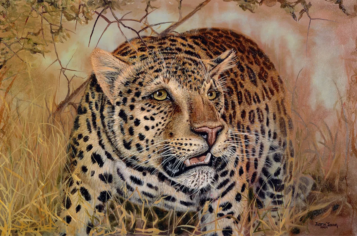 Jungle Eyes by Justin I. Young