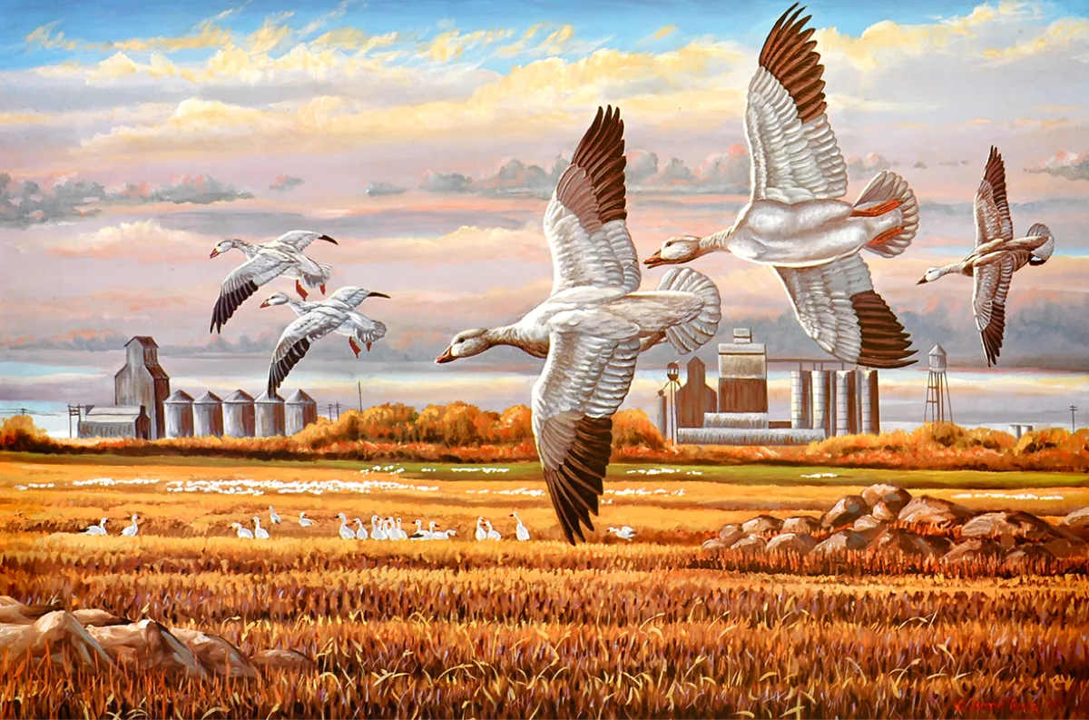 October Wing at Rock Lake by Justin I. Young