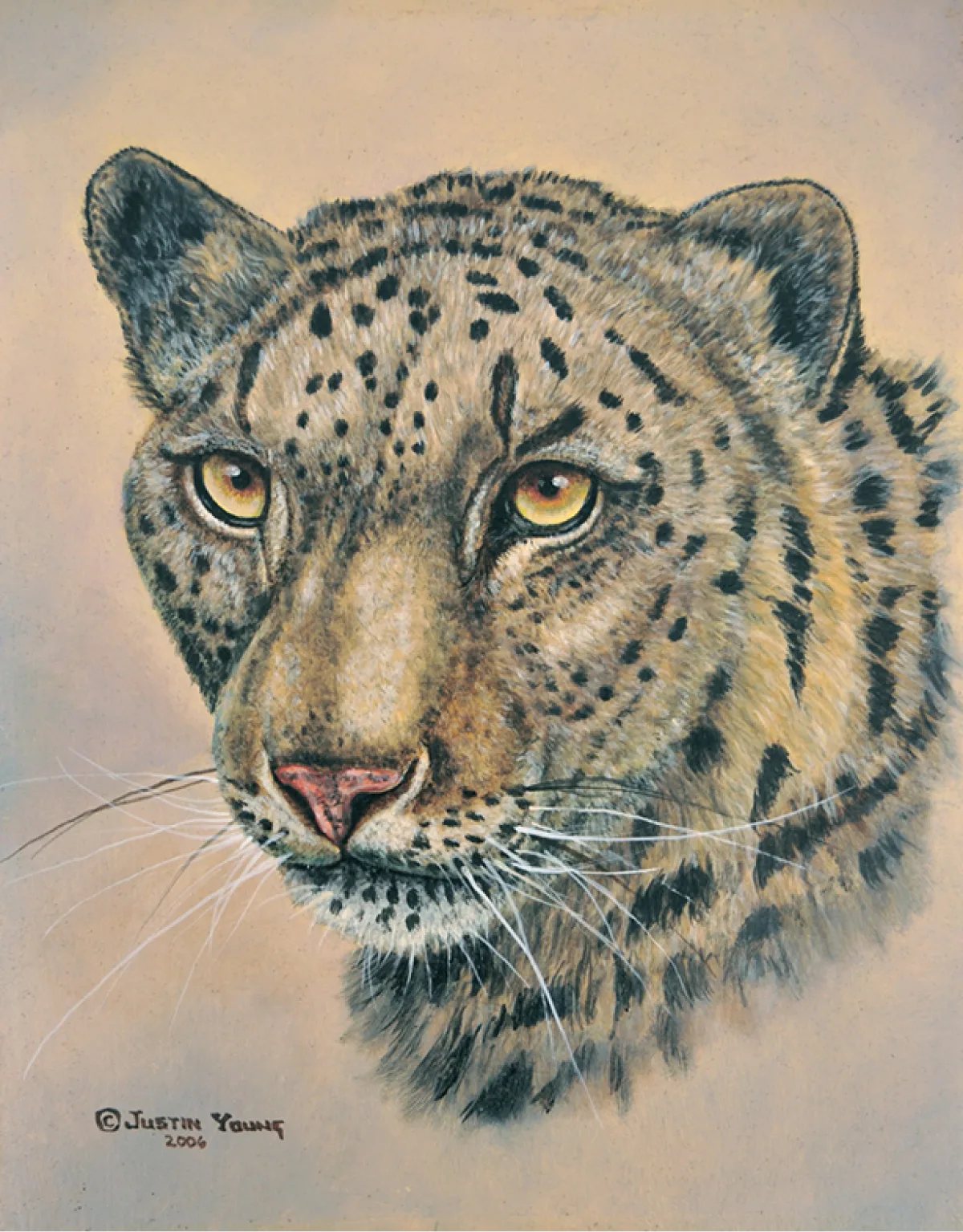 Snow Leopard by Justin I. Young