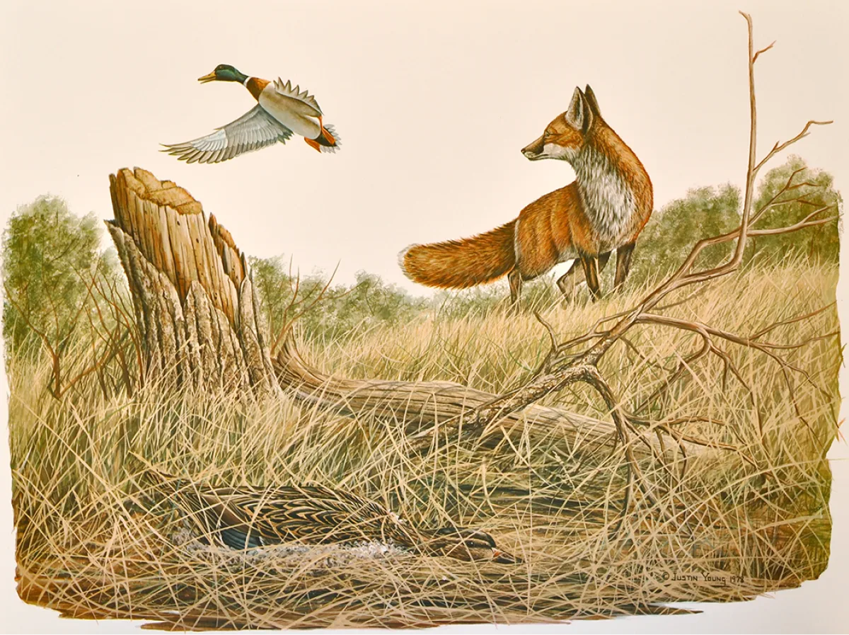 The Decoy by Justin I. Young