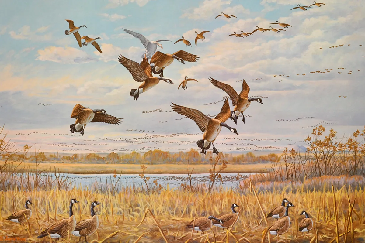 The Evening Flight by Justin I. Young