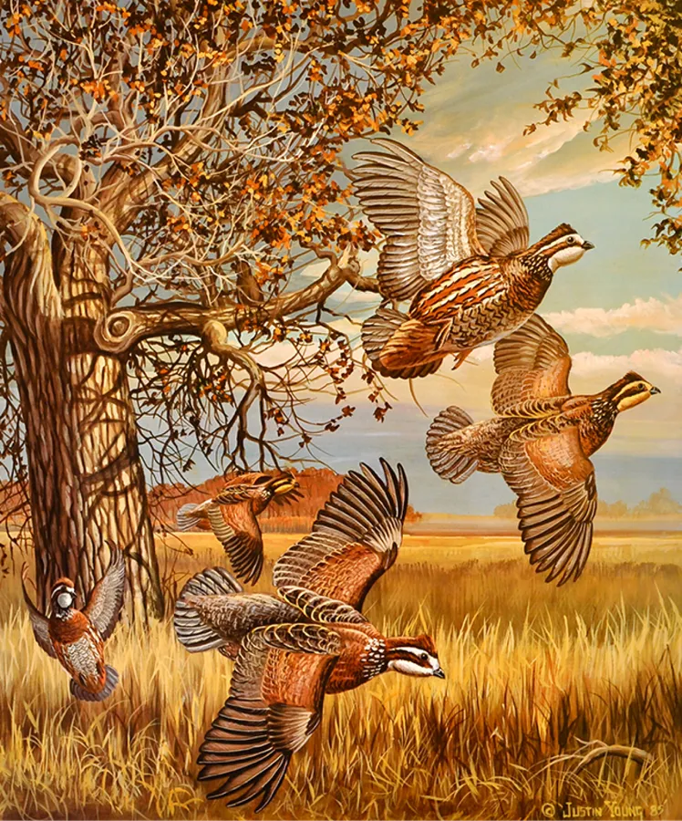 River Bottom Bobs — Painting by Justin I. Young