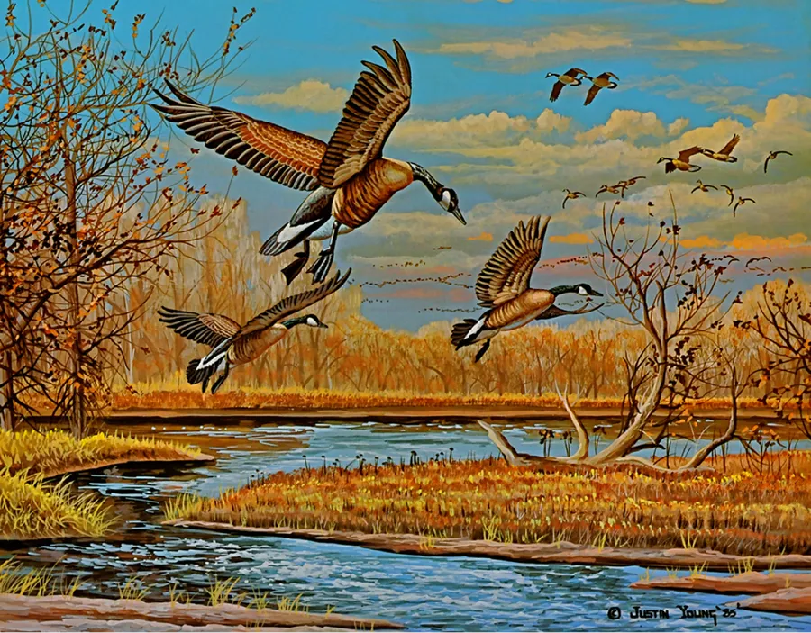 Sand Bar Honkers — Painting by Justin I. Young