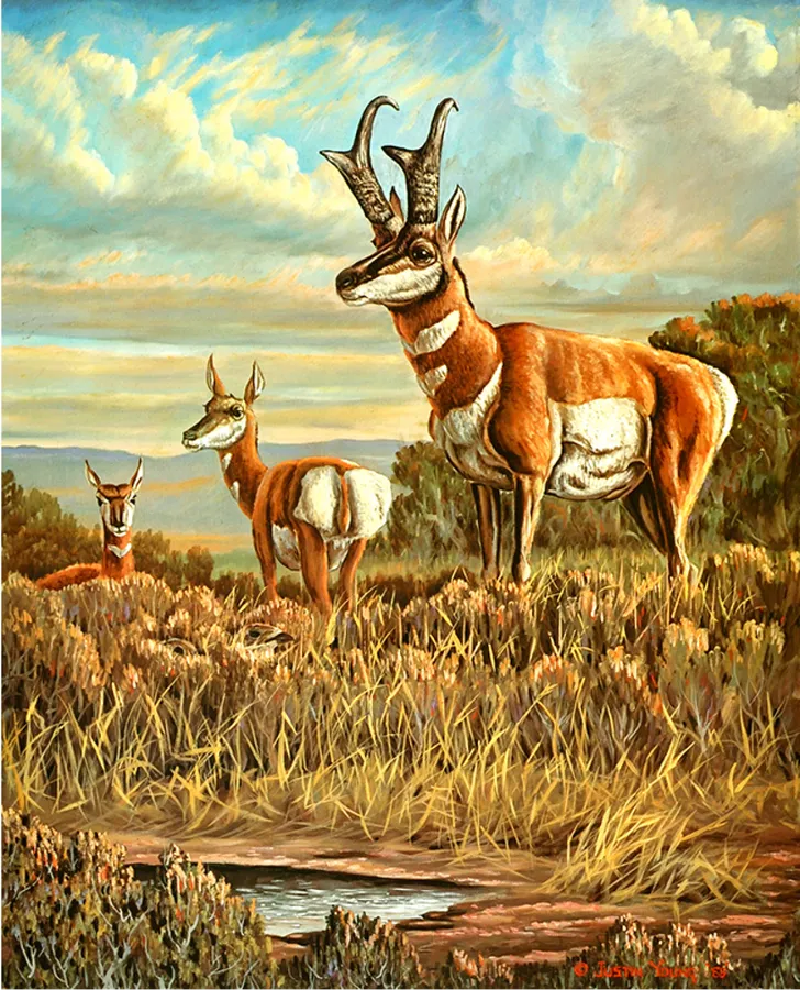 The Sentry — Painting by Justin I. Young